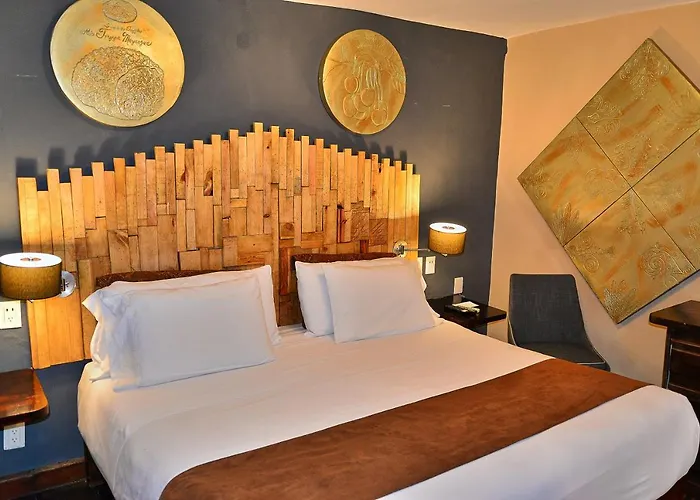Hotel Mesones 49